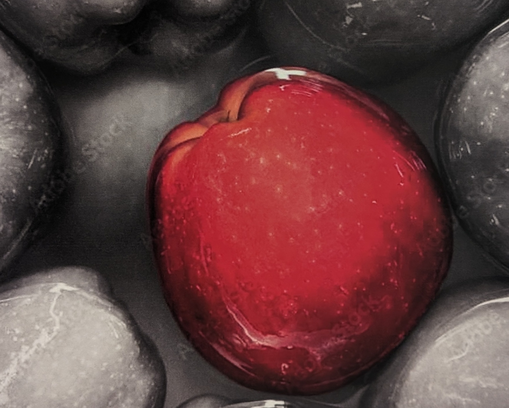 Cropped photo of a poster, featuring a painting of a single red apple amidst a group of black and white apples.