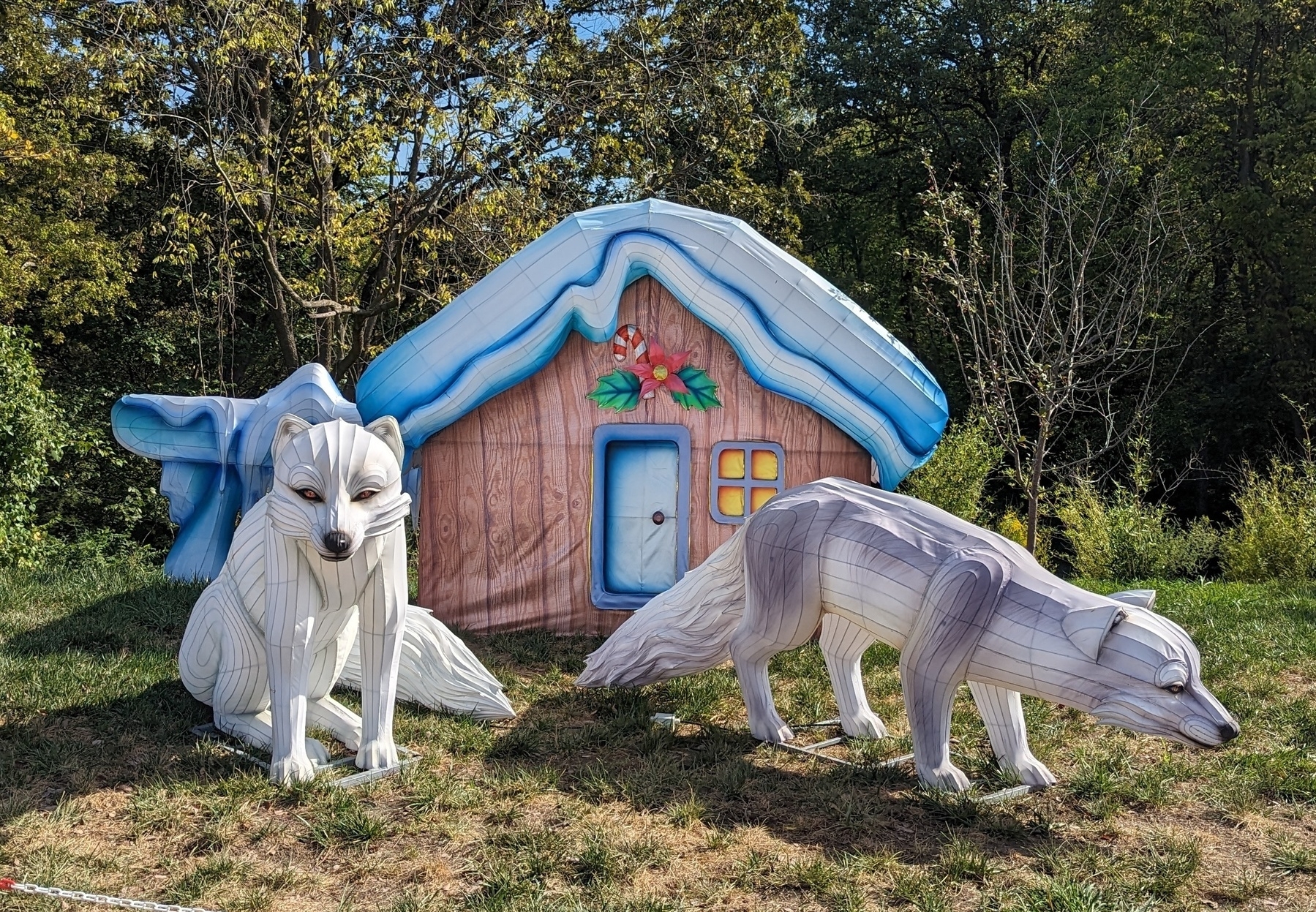 Photo of two white wolf holiday statues, they are situated in front of a small cabin. During the evening, these are illuminated from within.