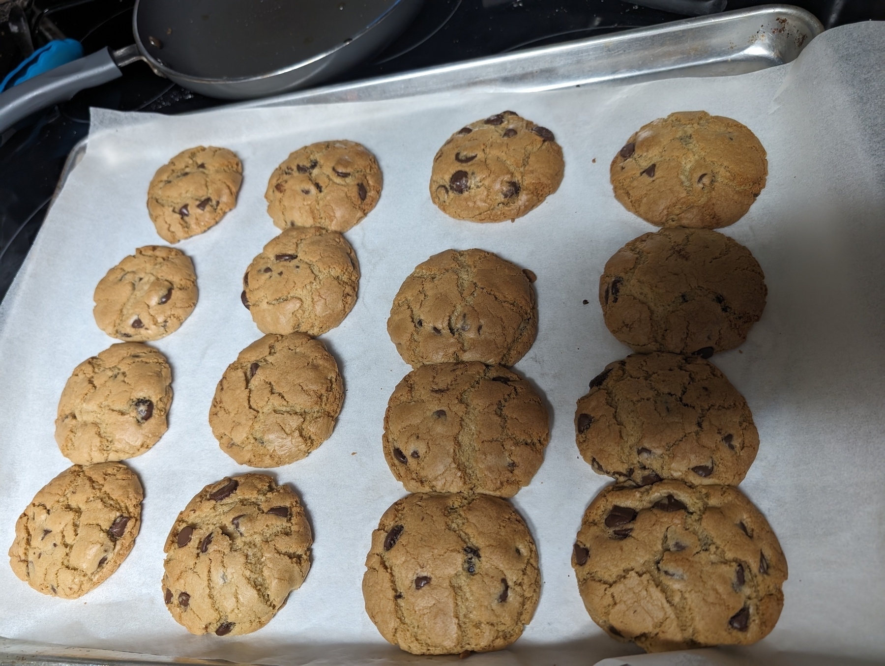 Photo of 16 of my freshly baked worst chocolate chip cookies. 