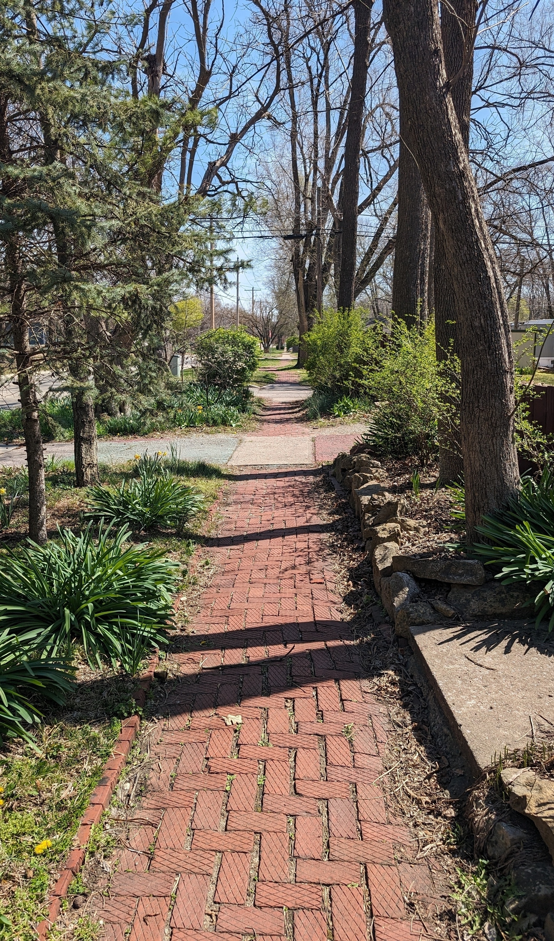 Photo of a red brick sidewalk, framed by trees and other vegetation.
